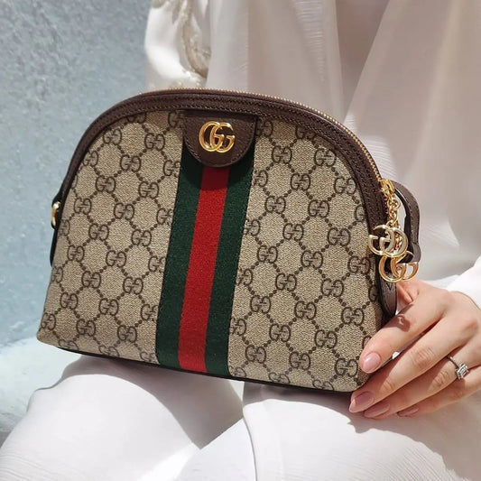 Gucci bag - 1