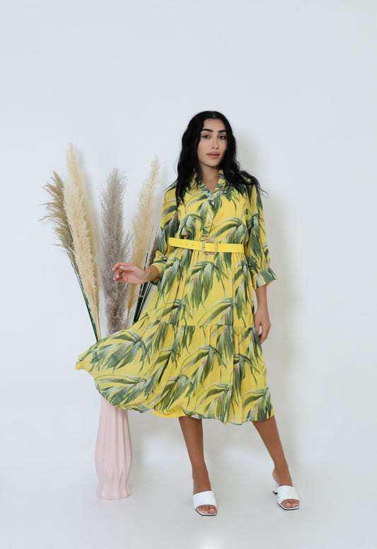 Chiffon dress  - 1